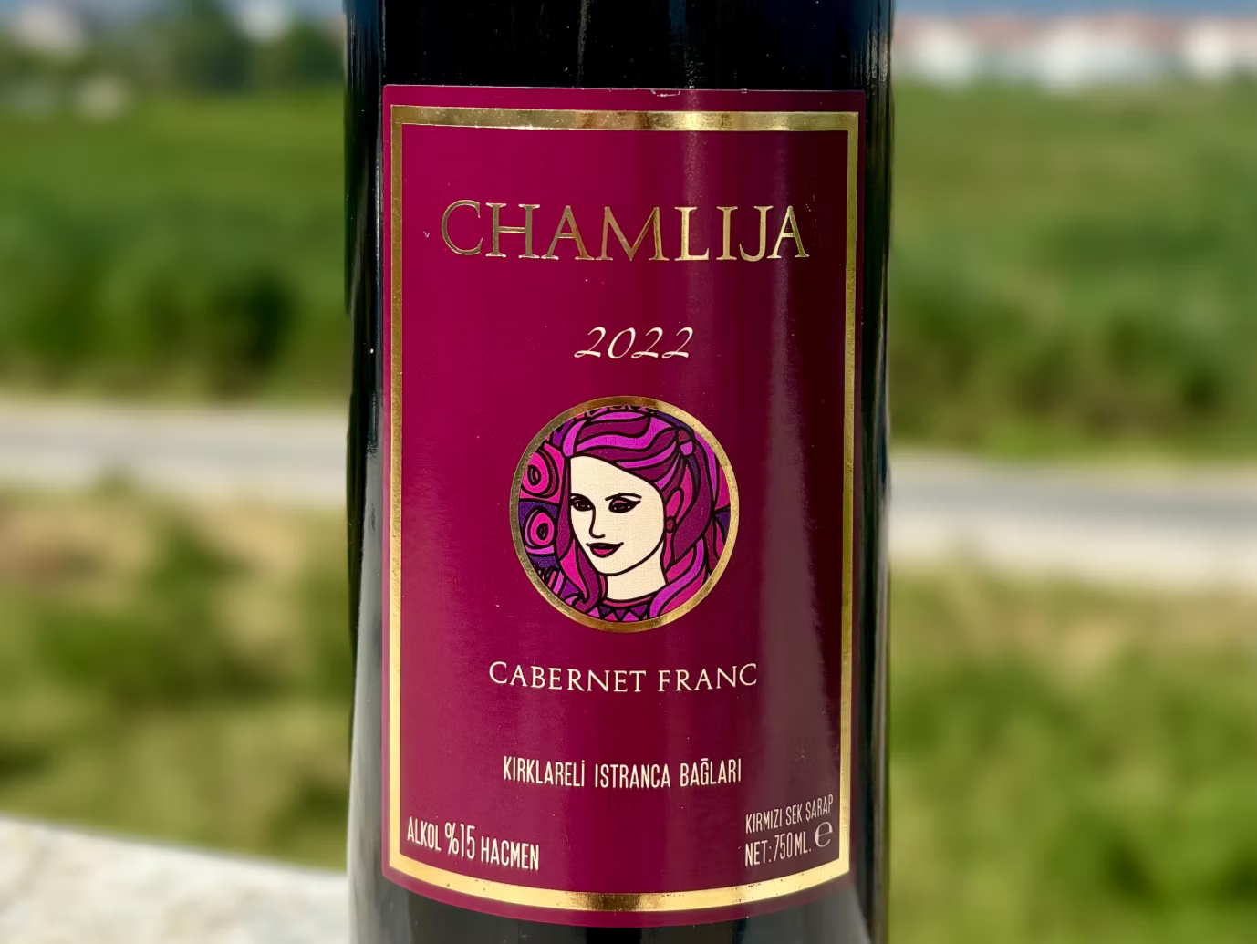 World Cabernet Franc Day 2024